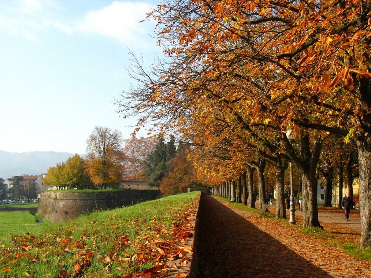 Villa Grespola Lucca Eksteriør billede